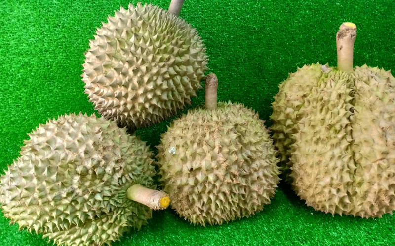 Giá sầu riêng ngày 19/10: Giá sầu riêng 