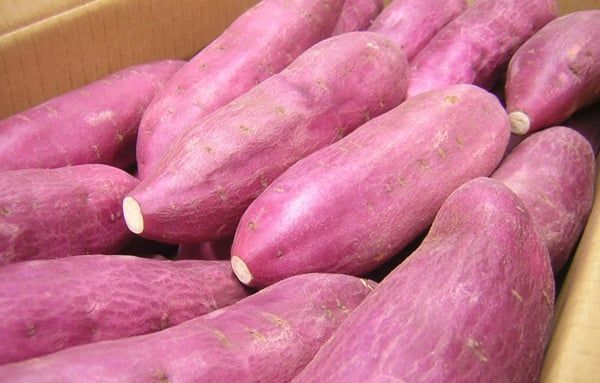 Giá khoai lang Việt cao hơn 3 lần giá khoai lang Trung Quốc xuất sang Nhật