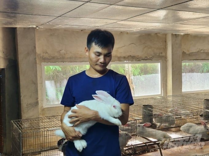 Giàu từ vật nuôi đặc sản Trang trại thỏ 3.000 con cho lợi nhuận 20 triệu đồng/tháng