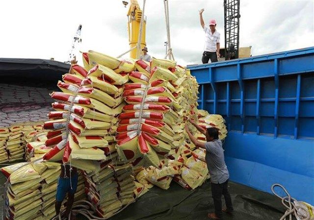 Giá gạo Ấn Độ giảm tuần thứ 4 liên tiếp, gạo Việt vẫn không giảm
