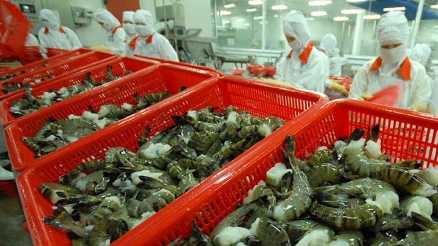 Tăng trưởng cả về lượng lẫn tiêu thụ tôm, Sao Ta vẫn có doanh số tháng 10 thấp nhất 5 tháng