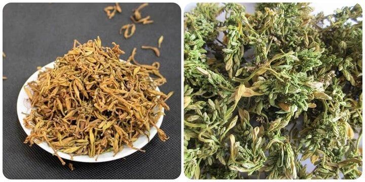 5 công dụng của hoa đu đủ đực ít người biết