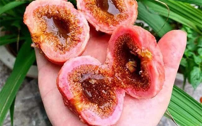 Loại quả nghe tên đã muốn “né”, ăn xong thì lại mê vì ngon và tốt cho sức khỏe, giá rất phải chăng