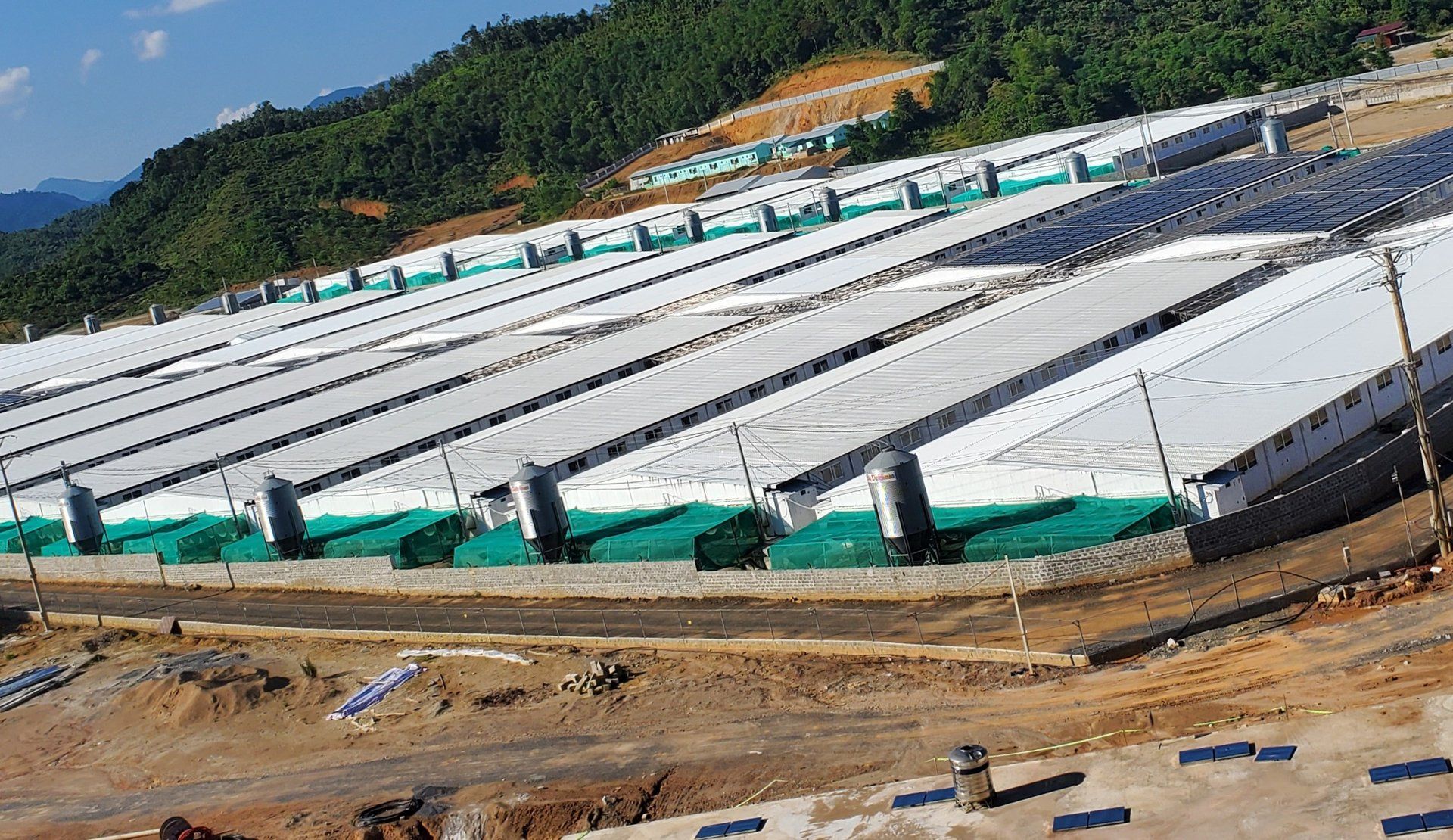 Trại lợn rò rỉ hầm biogas, cả làng ngửi mùi thối