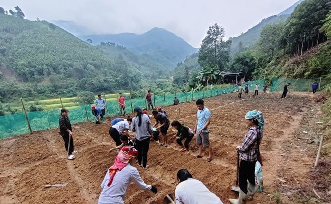 Đào tạo trồng rau an toàn cho bà con người Dao