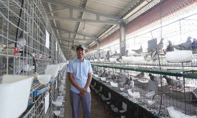 Anh Nguyễn Ngọc Thảnh, xã Bình Lãng (Tứ Kỳ, Hải Dương) thành công với mô hình nuôi chim bồ câu Pháp thảo dược, lợi nhuận trên 1 tỷ đồng/năm. 