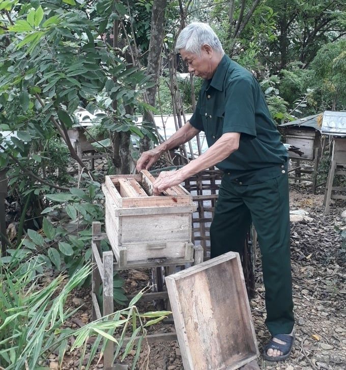 Nuôi ong thong dong, cựu chiến binh thu 50 - 60 triệu đồng/năm