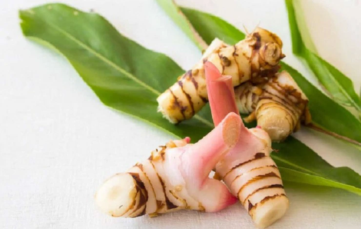 Loại củ cả thế giới khó tìm, chống được ung thư, Việt Nam lại trồng đầy vườn, giá rẻ bèo