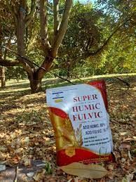Tác dụng của super humic đối với cây sầu riêng con