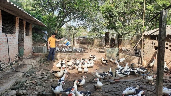 Ngan sao Đầm Hà thành đặc sản OCOP 3 sao