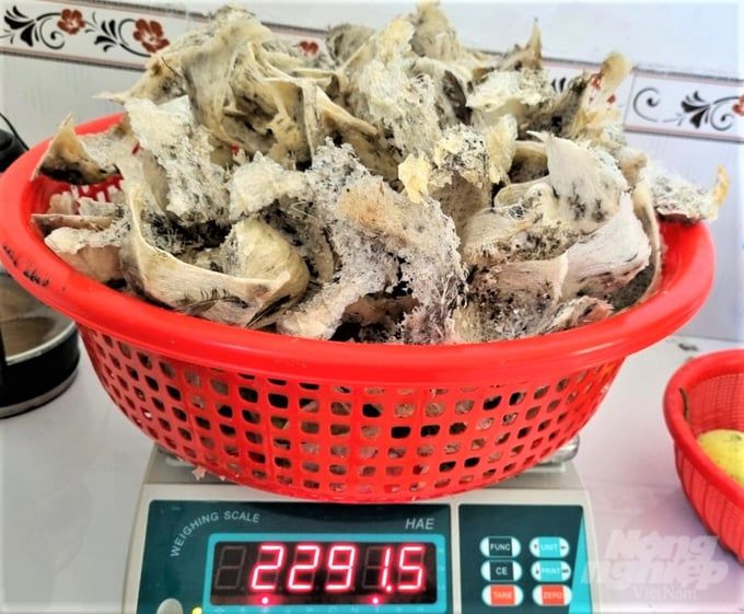 Mở đường để yến sào Kiên Giang xuất khẩu chính ngạch sang Trung Quốc