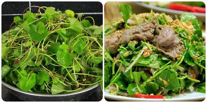 4 công dụng tuyệt vời của rau má với sức khoẻ mà nhiều người mua về ăn nhiều cũng không biết