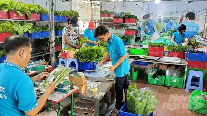 Mãn nhãn vườn rau thủy canh giữa lòng thành phố