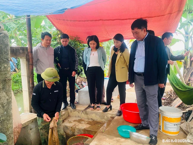 Nuôi loài được ví như 'lộc trời' kết hợp trồng lúa ST25, nông dân một xã của tỉnh Hải Dương thu lãi 618 triệu đồng/ha