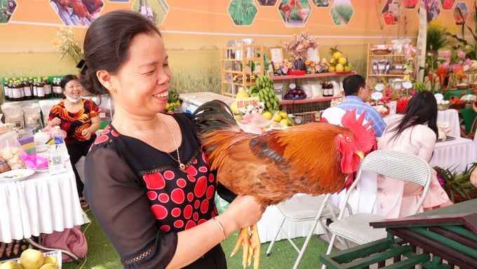 Cặp gà đồi Phú Bình đẹp nhất trúng đấu giá 200 triệu đồng