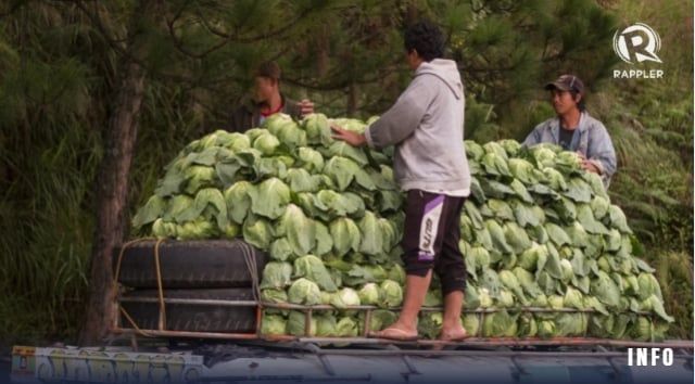 Philippines bác ‘làn sóng nhập lậu bắp cải từ Trung Quốc