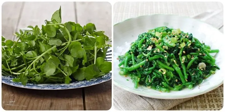 Chẳng cần chăm, rau này mọc như cỏ nhưng được công nhận là thực phẩm lành mạnh nhất thế giới