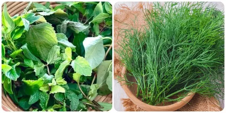 Nhiều người ăn 6 loại rau thơm này suốt mà không biết rõ lợi ích tuyệt vời của nó với sức khỏe
