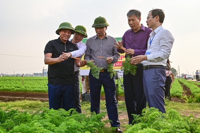Chủ động phương án cho vụ đông xuân ấm