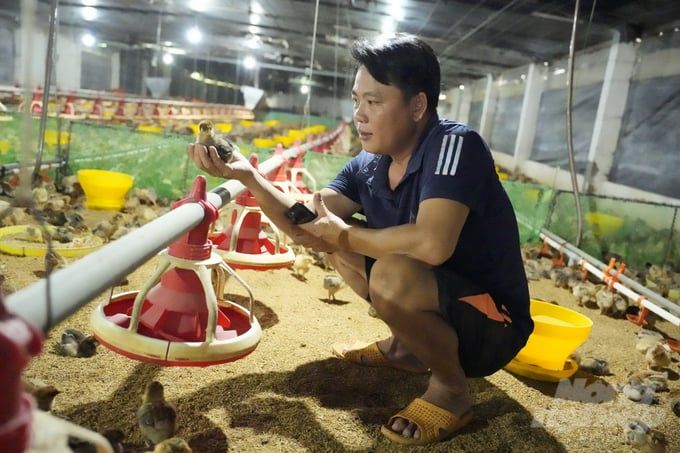 Nuôi gà gia công, ăn chắc mặc bền