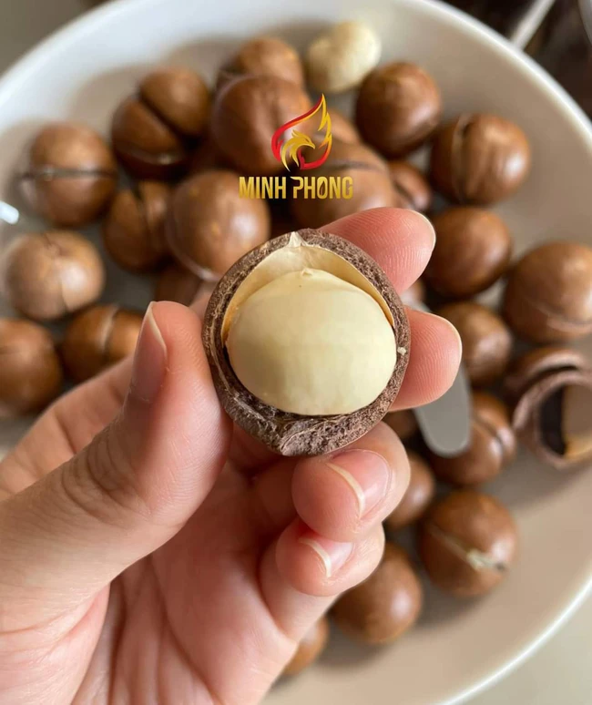 Đắk Nông: Hạt mắc ca Minh Phong chinh phục người tiêu dùng bằng chất lượng