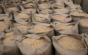 Ấn Độ có thể ​​duy trì lệnh cấm xuất khẩu gạo đến năm 2024, đẩy giá gạo toàn cầu tăng cao
