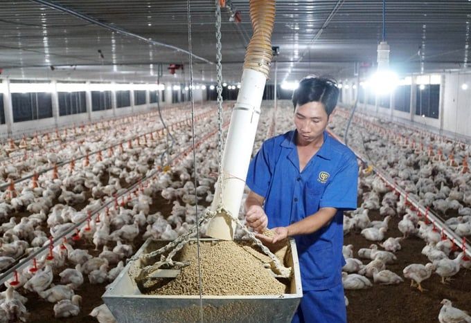 Khoa học công nghệ đưa chăn nuôi Việt Nam nhanh chóng bứt tốc