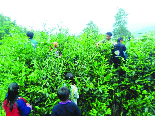 Hà Giang: Giải pháp nào cho xây dựng nông thôn mới ở các xã khó khăn?