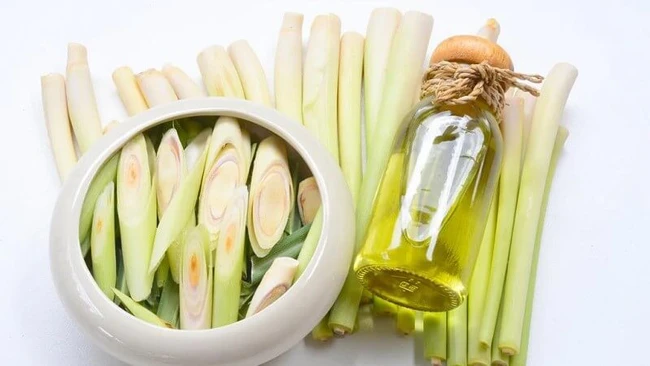 Nậm Pồ: Nỗ lực nâng cao giá trị nông sản của địa phương