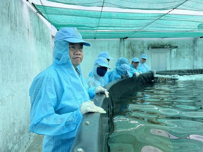 Chủ động kiểm soát dịch bệnh trên tôm