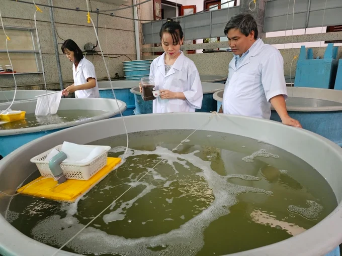 Đánh giá tải lượng chất thải trong nuôi biển để phát triển bền vững