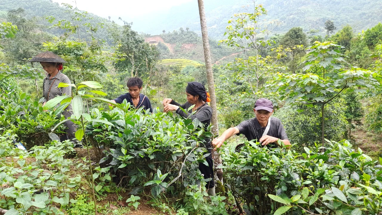 NTM Hà Giang: Linh hoạt xây dựng nông thôn mới ở huyện nghèo Xín Mần
