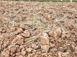 Dứt điểm việc mua bán đất mặt ruộng trái phép ở Ninh Bình sau phản ánh của Báo Dân Việt