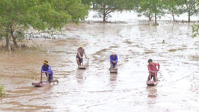 Sức mạnh cộng đồng trong bảo vệ rừng gắn với khai thác thủy sản bền vững