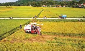 Quảng Nam: Tiên Phước quyết tâm hoàn thành huyện nông thôn mới vào năm 2024