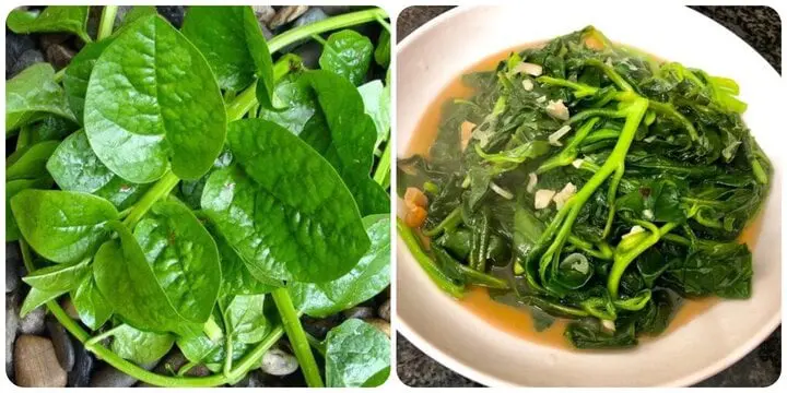 Ít người biết rằng rau này còn được sử dụng như một loại thuốc chữa bệnh tuyệt vời
