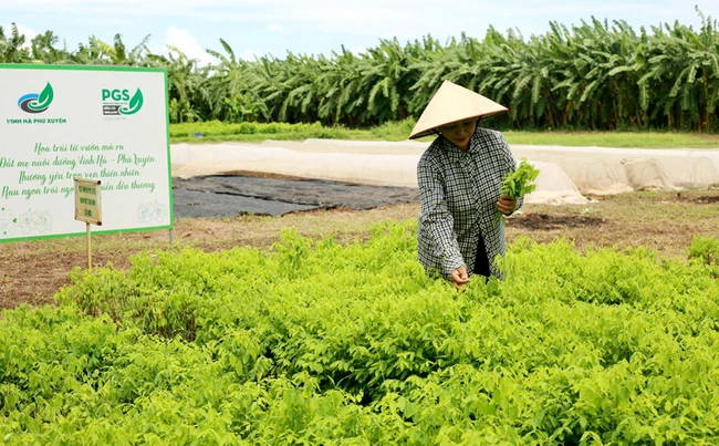 Lời giải cho bài toán tăng hiệu quả bảo vệ thương hiệu nông sản ở Thủ đô