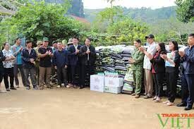 Nông dân Sơn La thâm canh cải tạo cà phê theo hướng hữu cơ
