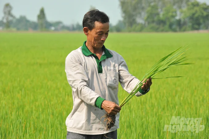 Vận động nông dân vào HTX để triển khai Đề án 1 triệu ha lúa