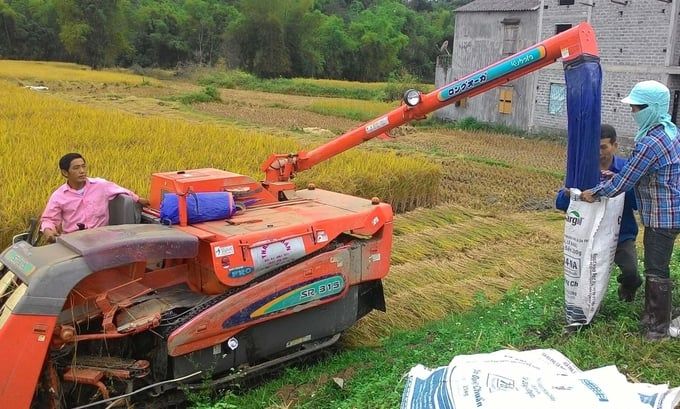 Cơ giới hóa nông nghiệp và tiền đề từ những cánh đồng đi mượn