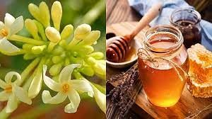 Hoa này đem ngâm mật ong dùng tốt hơn thuốc bổ lại còn chống viêm