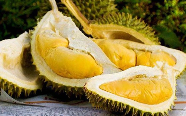 Giá sầu riêng ngày 1/1: Sầu riêng ghi dấu ấn mạnh năm 2023 khi giá bán cao chưa từng thấy