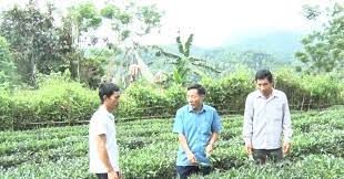 Nông thôn mới ở một xã của Lai Châu, đời sống người dân được nâng cao, bản làng sạch đẹp