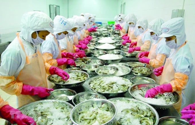 Dấu ấn nông nghiệp Việt Nam 2023