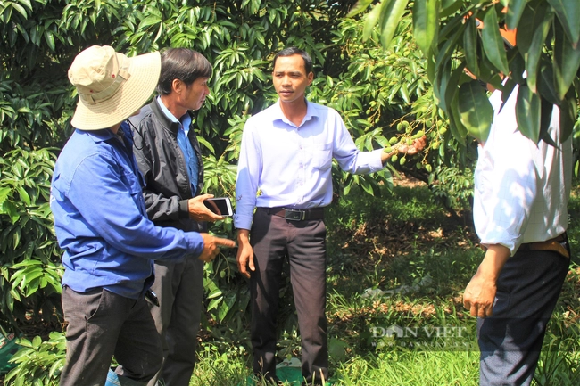 Thủ tướng đối thoại với nông dân: Nhiều Bộ, ngành, địa phương đã đồng loạt vào cuộc tháo gỡ khó khăn cho nông dân