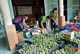 Đồng lòng, sáng tạo xây dựng xã nông thôn mới ở Sặp Vạt