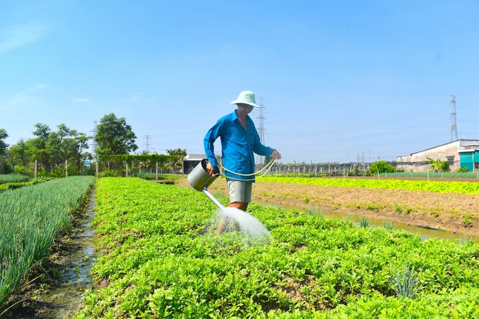 Tiền Giang tăng cường đảm bảo an toàn thực phẩm dịp Tết Nguyên đán