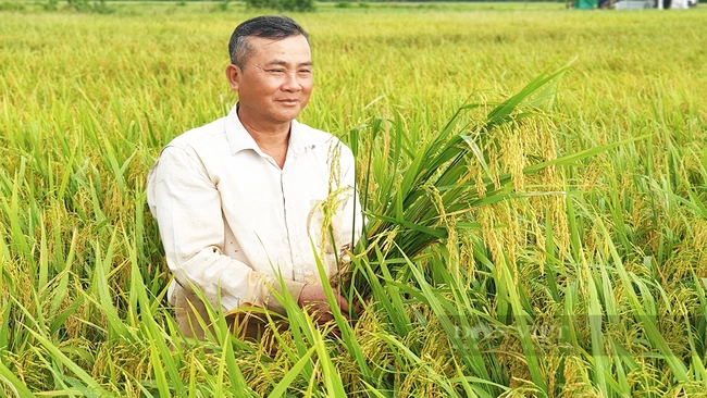 Thay đổi quan niệm “làm lúa mãi nghèo” ở ĐBSCL