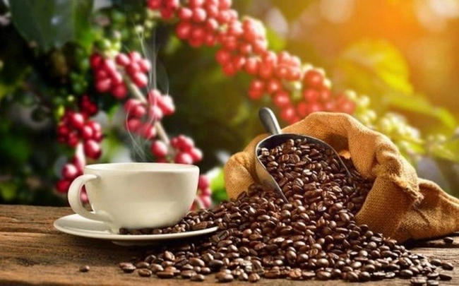 Giá cà phê ngày 8/1: Giá cà phê đồng loạt tăng