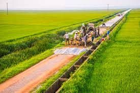 Mường Sai đạt chuẩn nông thôn mới